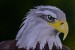 4b045733-270d-4cf8-97fc-dc2c22468955