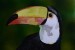 8523192b-5101-4e96-932e-89ab1d72b4b6