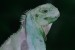 8cc34f38-c35a-4138-8a5a-ad6787e85e82